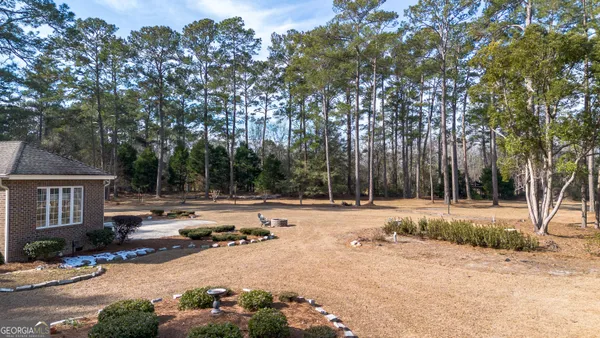 a row of lawn chairs under a large tree