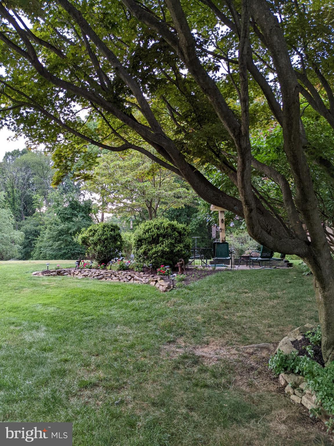 124 Princeton Road Exton, PA 19341 - Photo 49 of 51 Rear Yard View 4