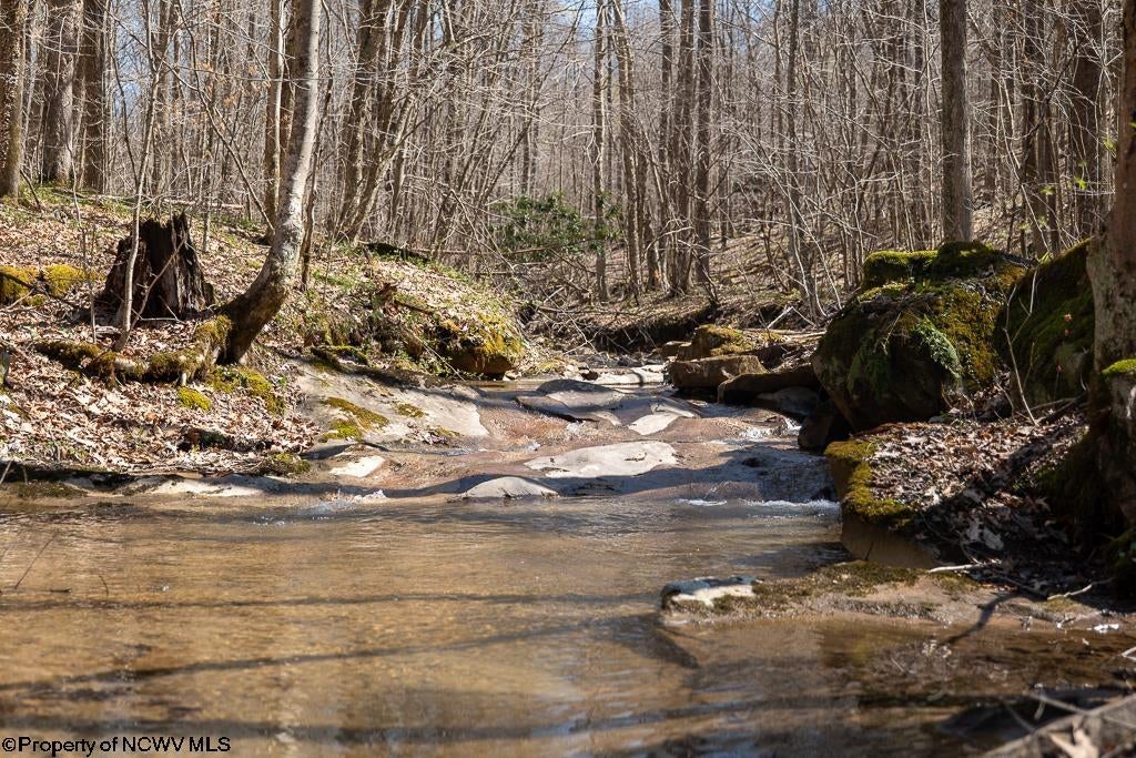Lot 1 Fairfax Mine Road Reedsville, WV 26547 - Photo 1 of 49 Gallery Image 1