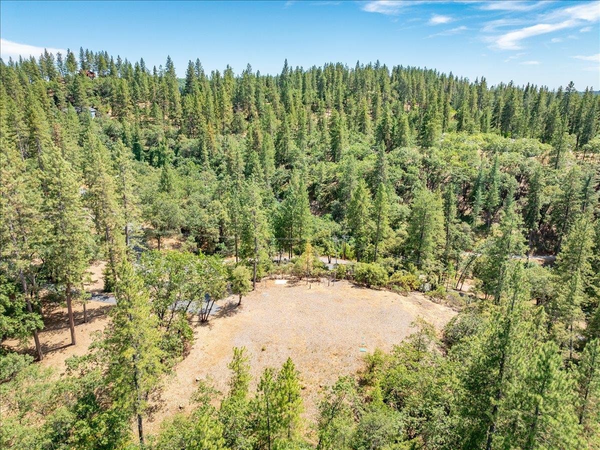 22600 Plumtree Road Colfax, CA 95713 - Photo 34 of 37