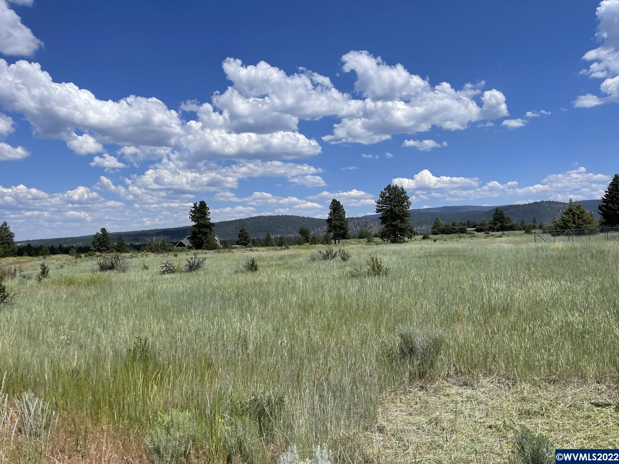 Lot 13 Dawn Loop Chiloquin, OR 97624 - Photo 1 of 9