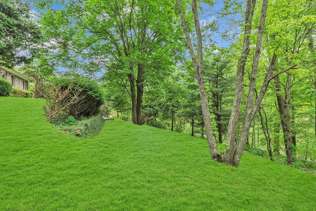 171 Dehaven Road Beaver Falls, PA 15010 - Photo 35 of 35 a big yard with lots of green space and trees