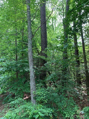 24108 Neblett Mill Road Waverly, VA 23890 - Photo 1 of 4 Gallery Image 1
