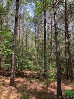 24108 Neblett Mill Road Waverly, VA 23890 - Photo 2 of 4 Gallery Image 2