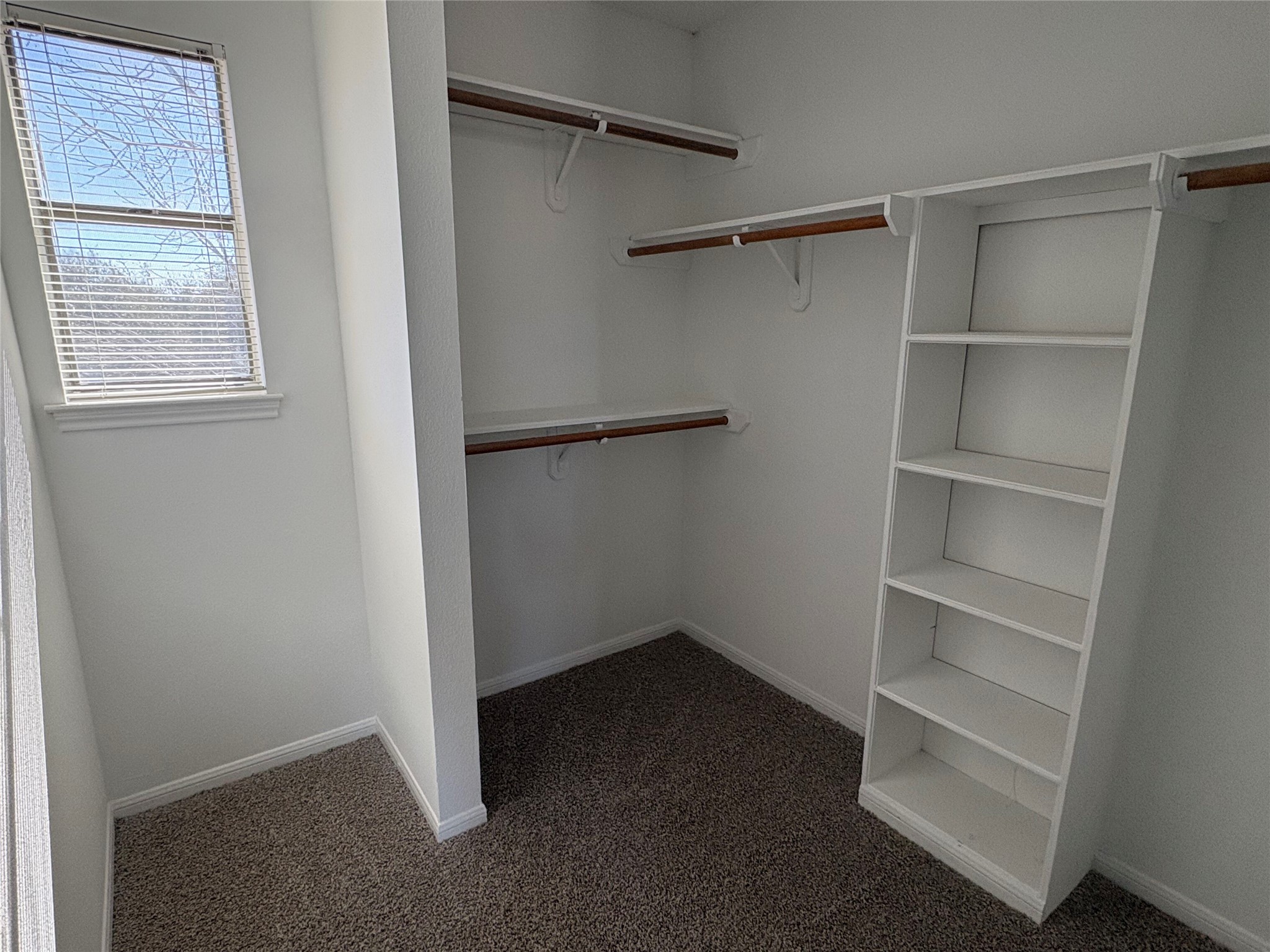 9201 Simmons Road, Unit 119 Austin, TX 78759 - Photo 17 of 22 Walk in closet with dark carpet
