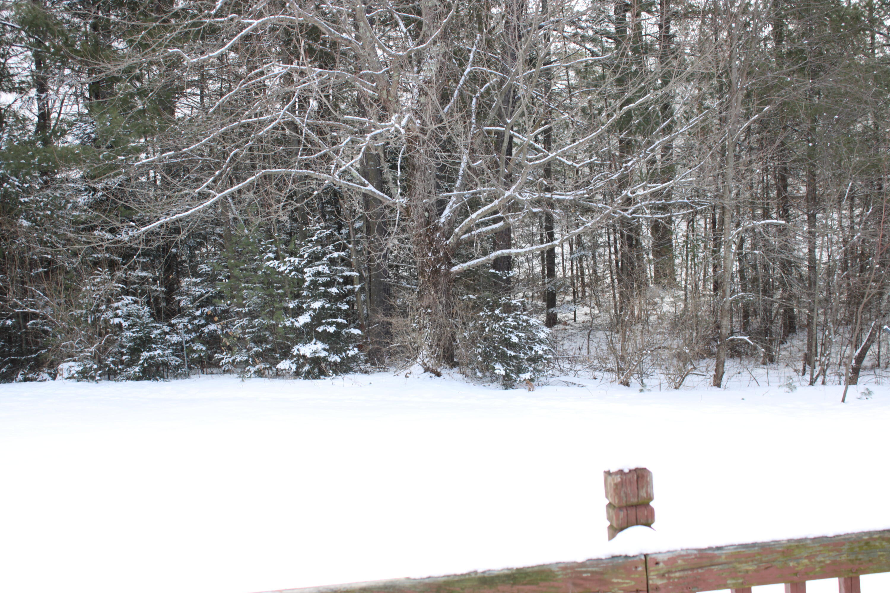 3064 Hotel Road Auburn, ME 04210 - Photo 22 of 24 IMG_0314