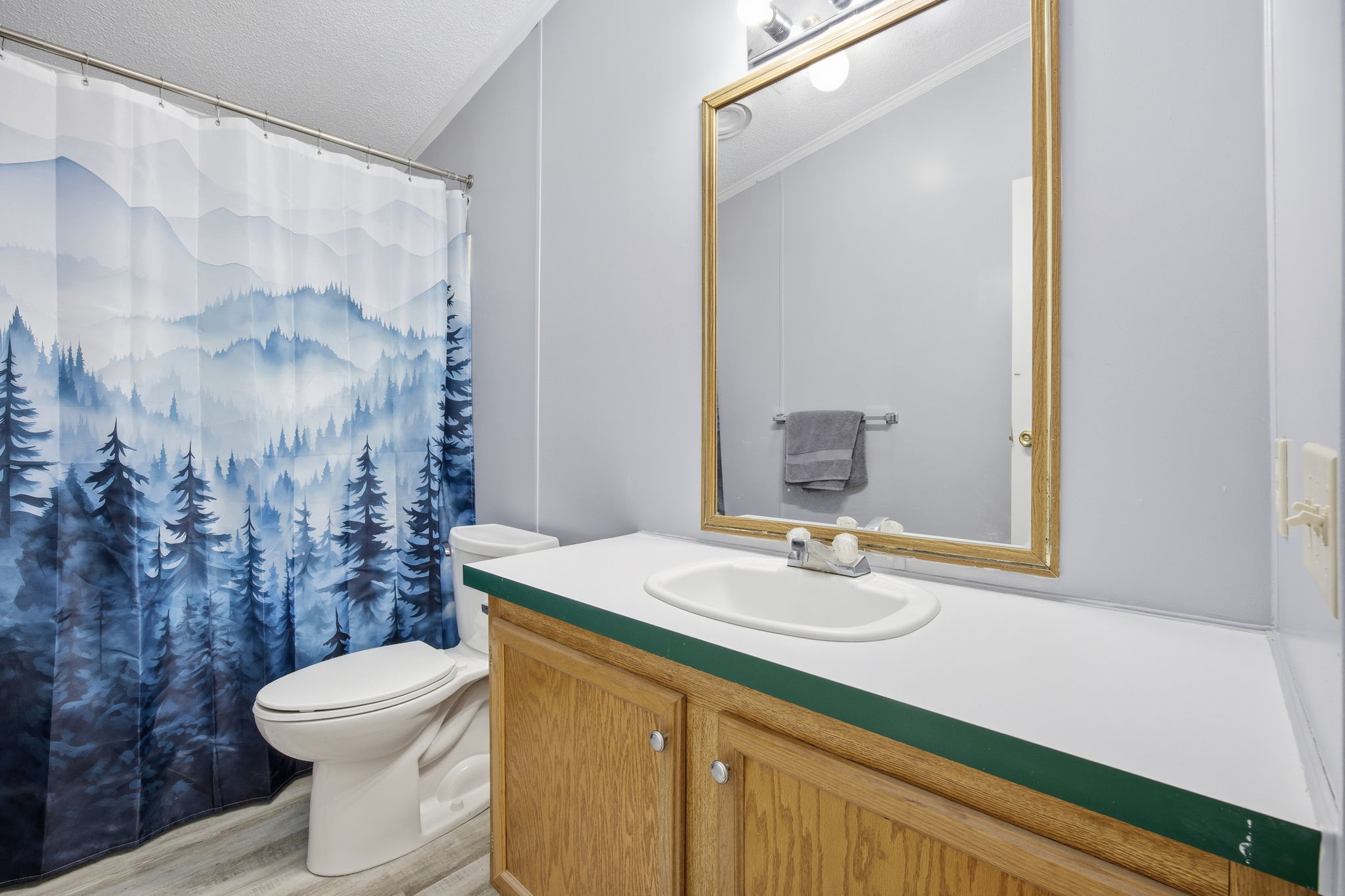 182 Wayside Court Elgin, TX 78621 - Photo 28 of 40 Bathroom featuring vanity, a shower with curtain, light wood finished floors, and a textured ceiling