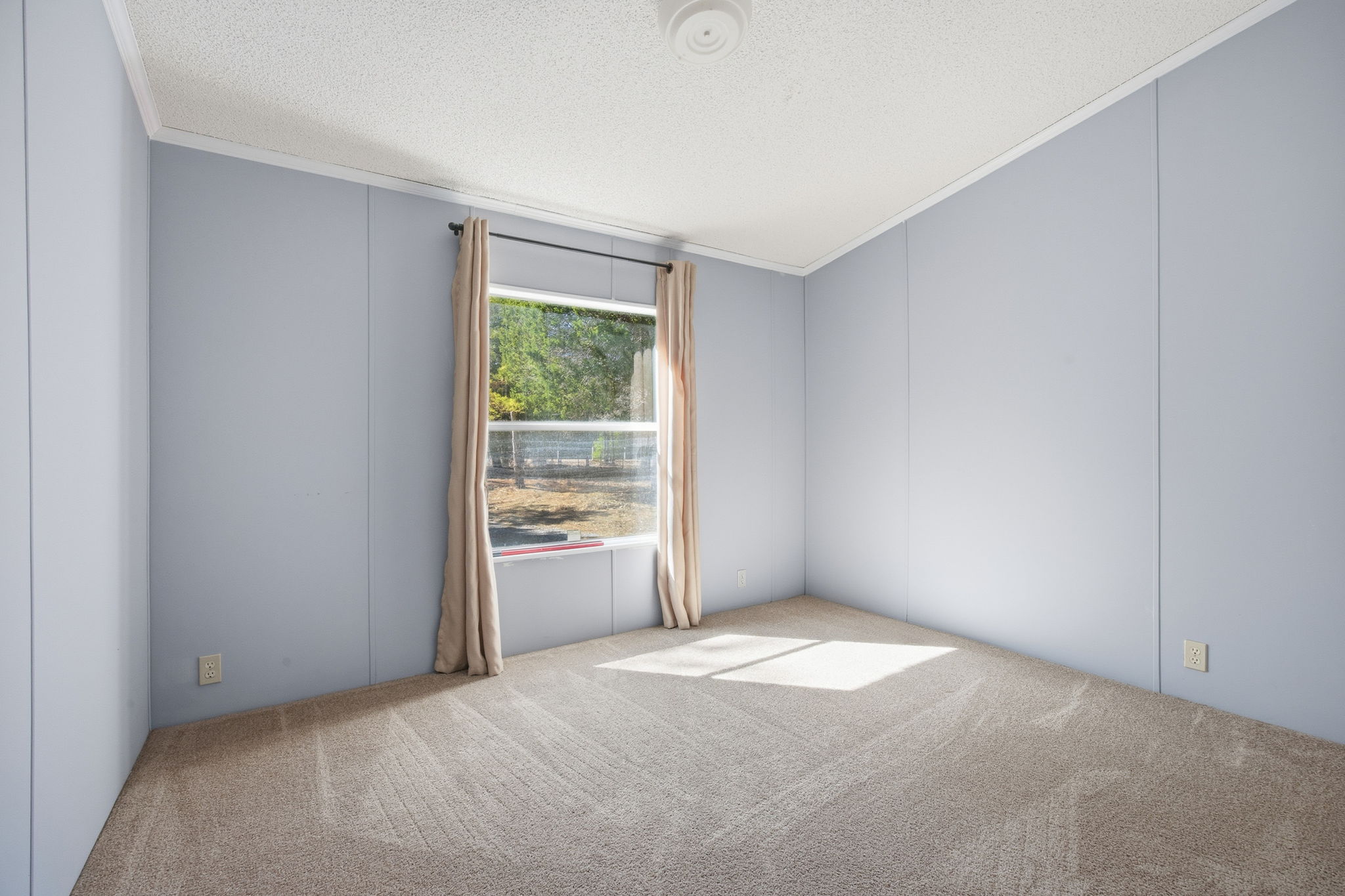 182 Wayside Court Elgin, TX 78621 - Photo 29 of 40 Spare room featuring carpet floors, a decorative wall, and a textured ceiling