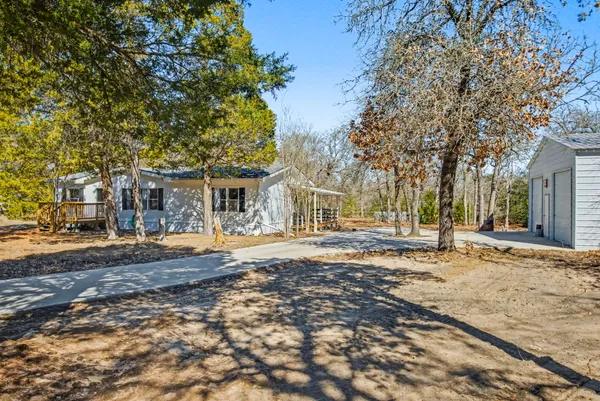 a view of dirt yard with a large tree