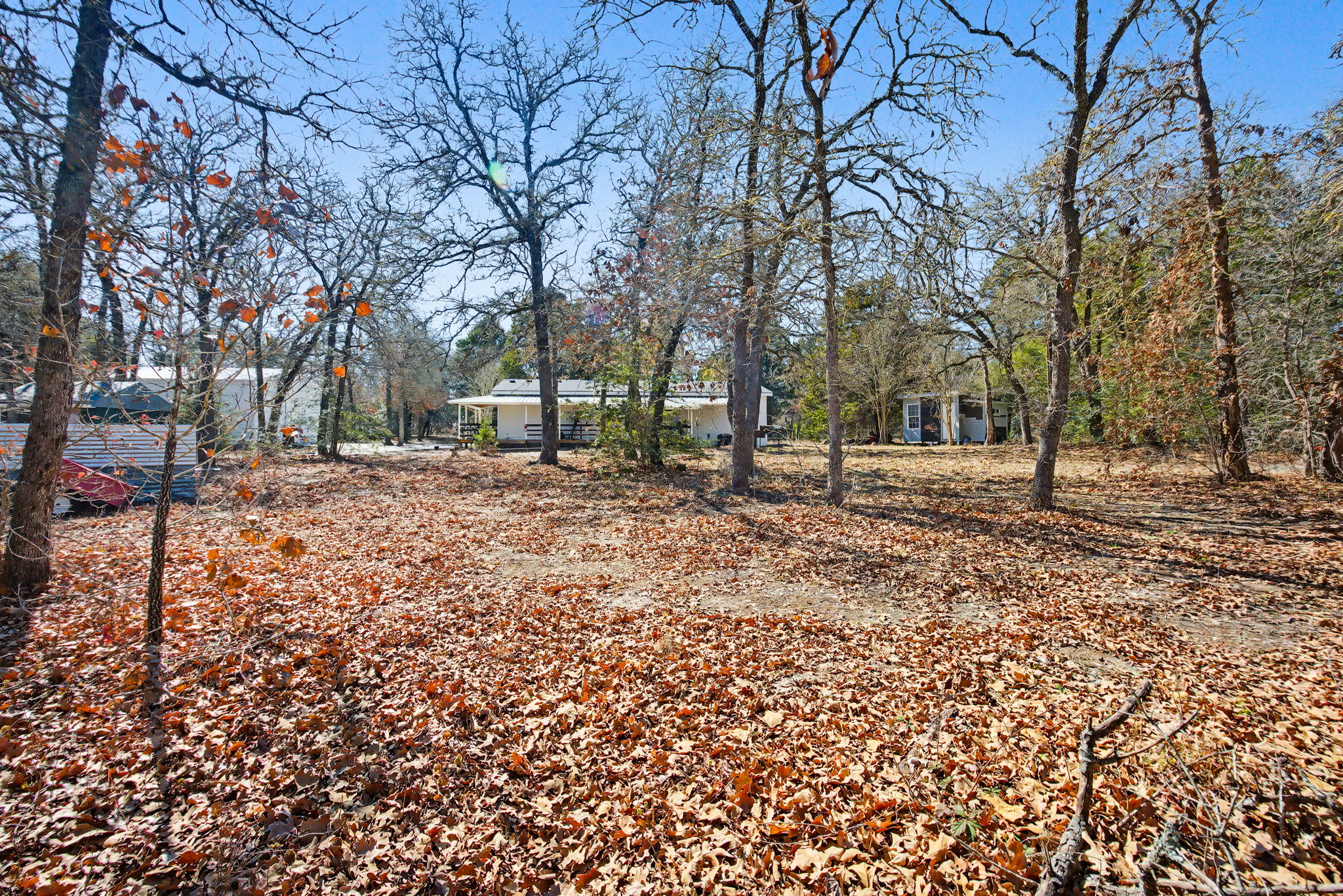 182 Wayside Court Elgin, TX 78621 - Photo 39 of 40 View of yard