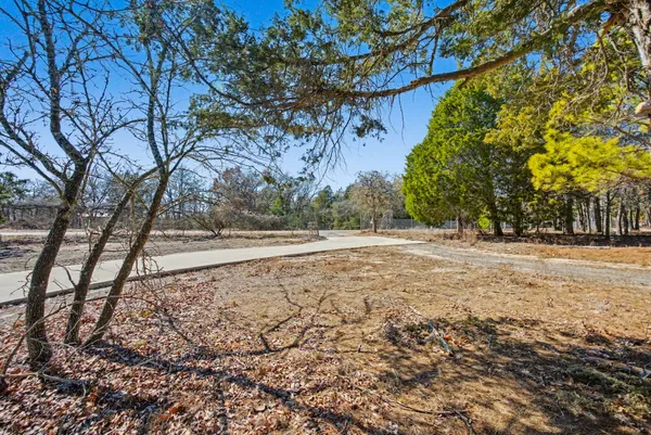 a view of road with trees