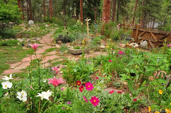 $600,000 | 3137 South Meadow View Road, Evergreen, CO 80439