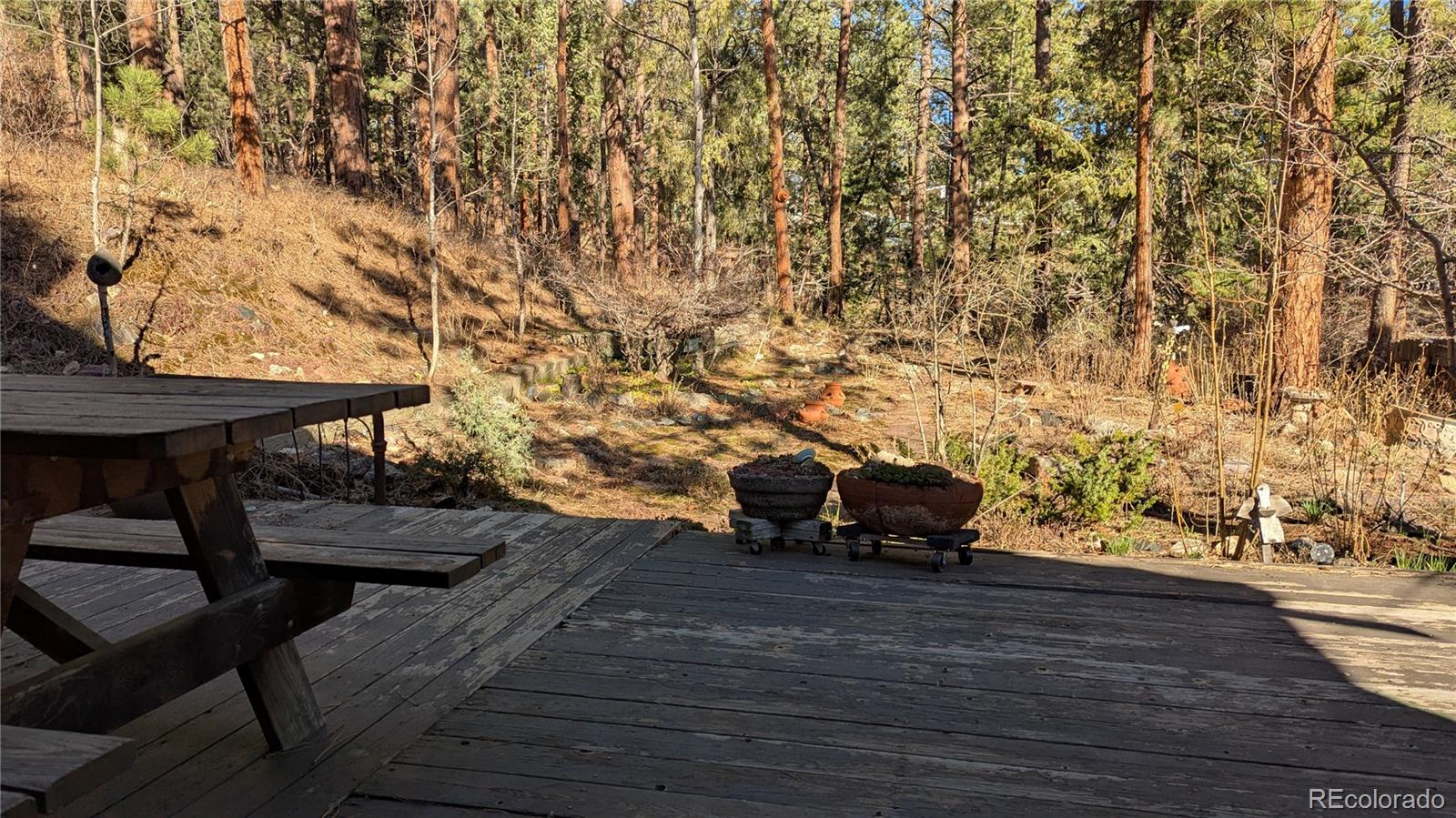 3137 South Meadow View Road Evergreen, CO 80439 - Photo 18 of 23