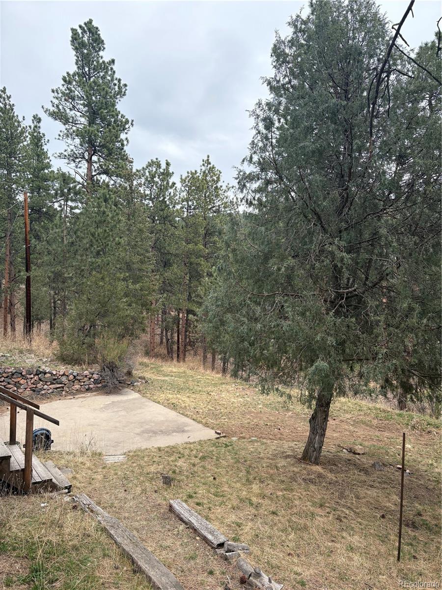 3137 South Meadow View Road Evergreen, CO 80439 - Photo 22 of 23