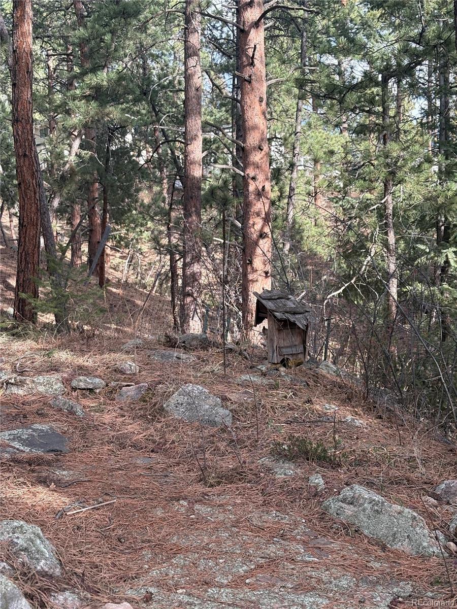3137 South Meadow View Road Evergreen, CO 80439 - Photo 23 of 23