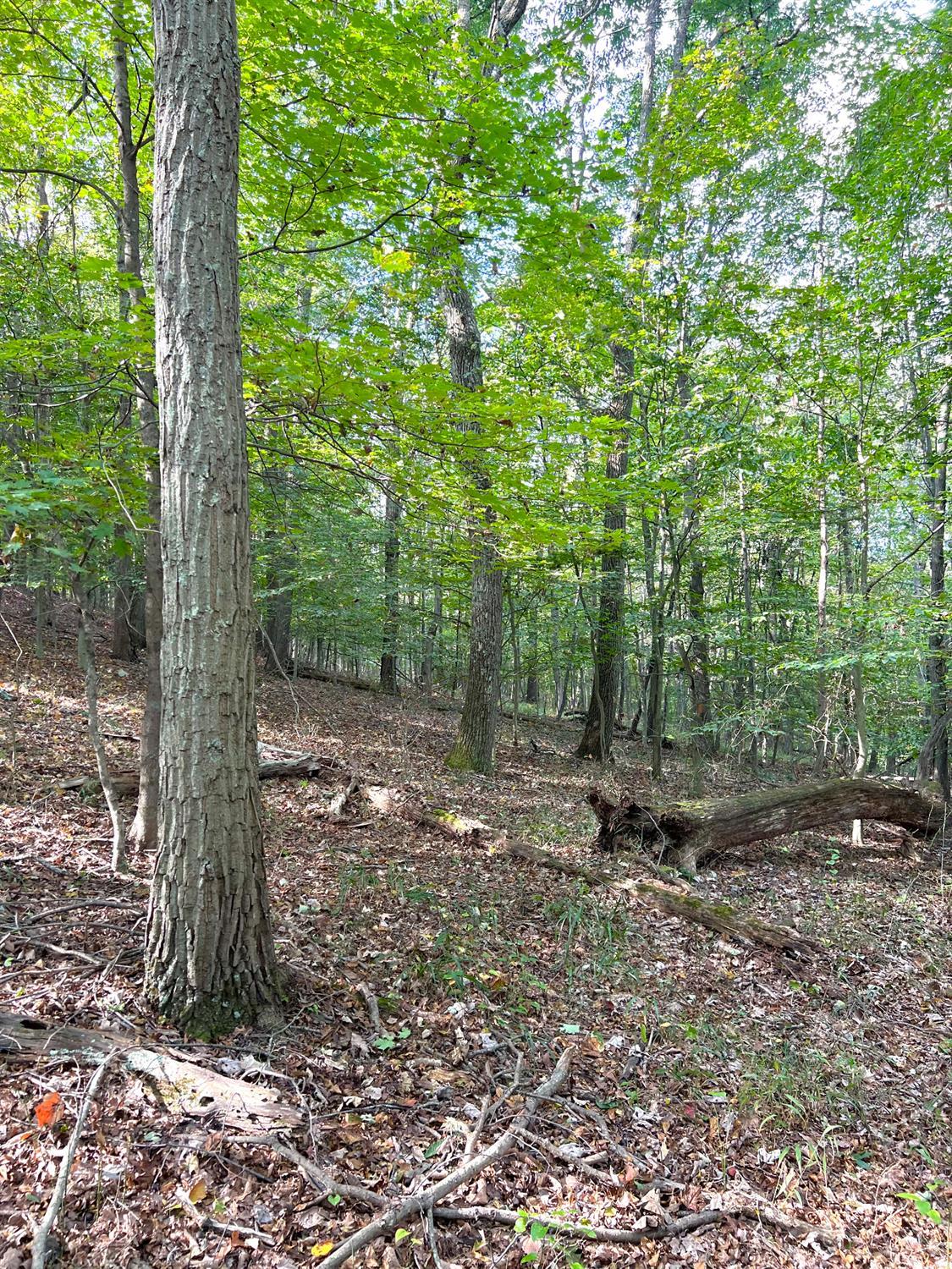 0 South Chenoweth Fork Road Piketon, OH 45661 - Photo 19 of 95