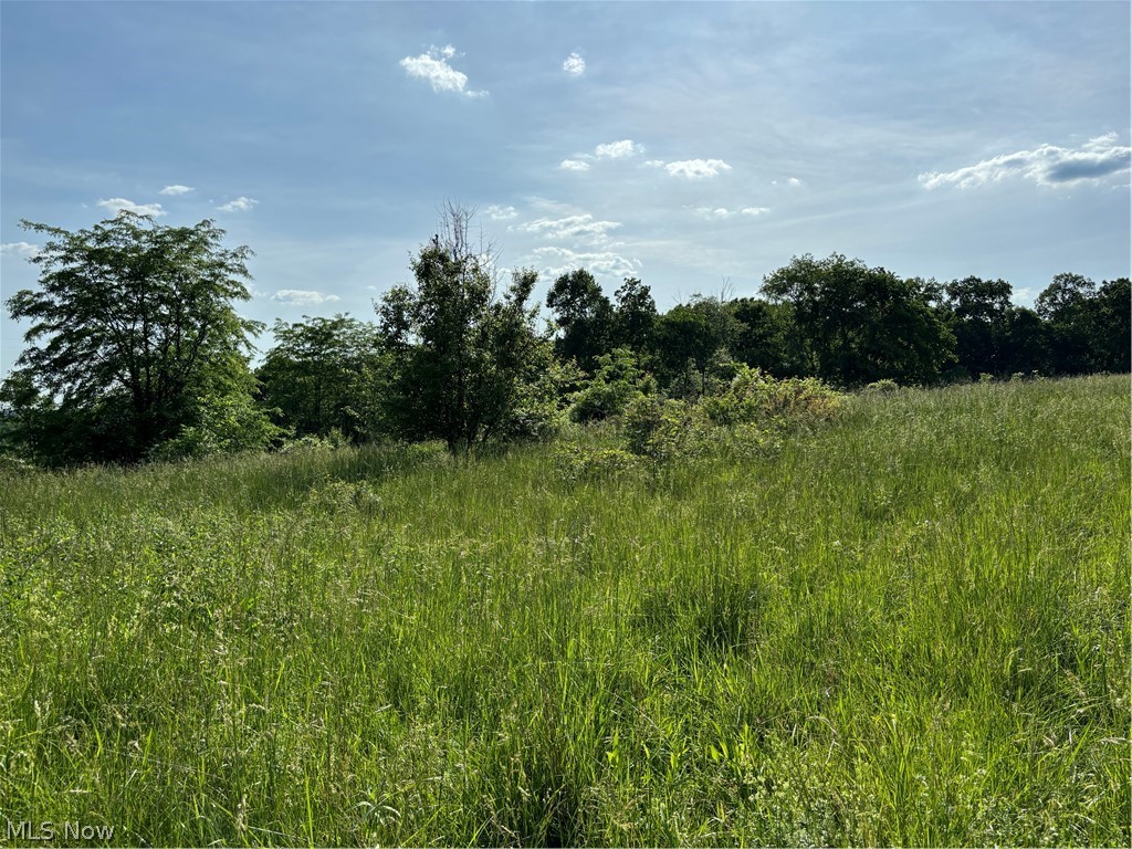 Mcglade School Road Dresden, OH 43821 - Photo 2 of 5