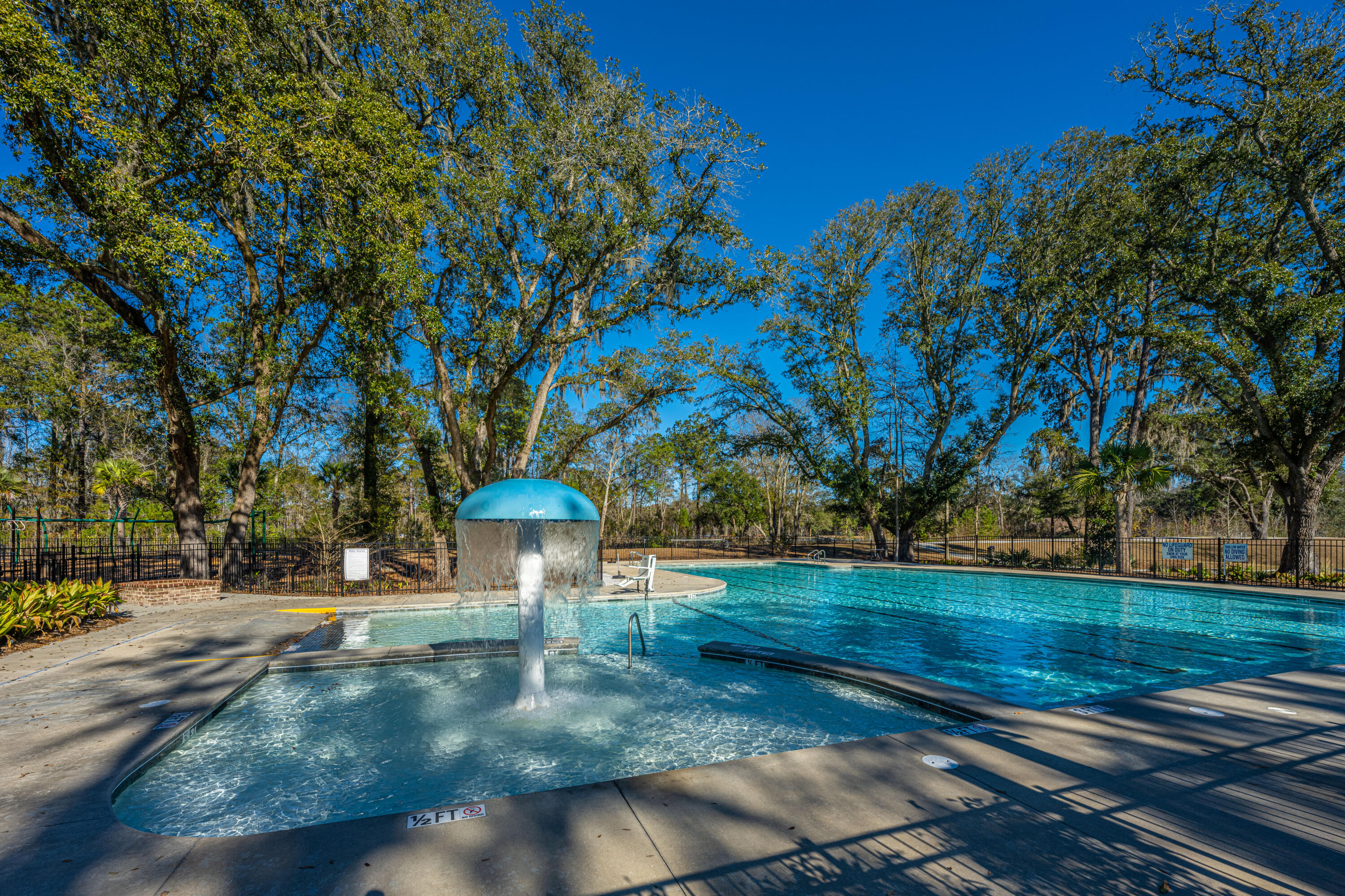 2011 Elvington Road Johns Island, SC 29455 - Photo 48 of 54 Community Pool