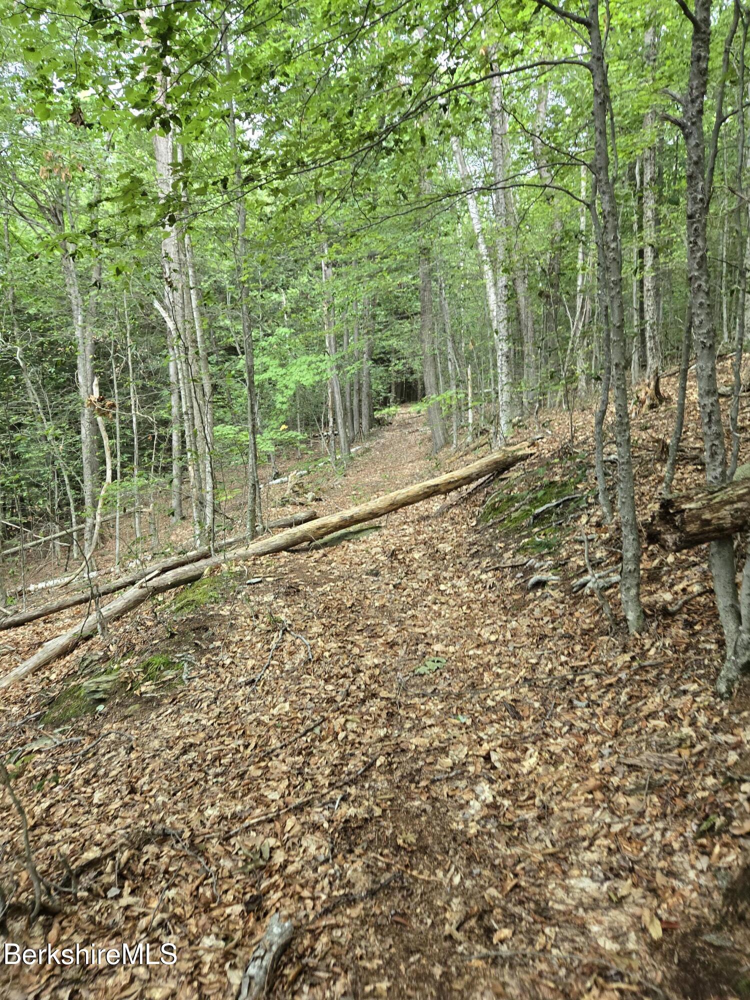 0 Monroe Road Drury, MA 01343 - Photo 9 of 17 1000021825