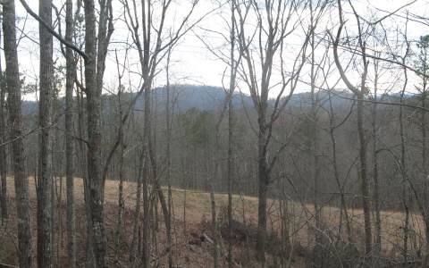 60 Camp Branch Road Ellijay, GA 30540 - Photo 1 of 1 Main View
