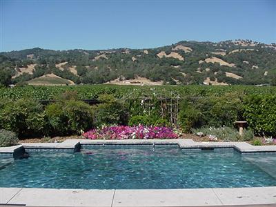 21360 River Road Geyserville, CA 95441 - Photo 3 of 12 a view of a garden with houses