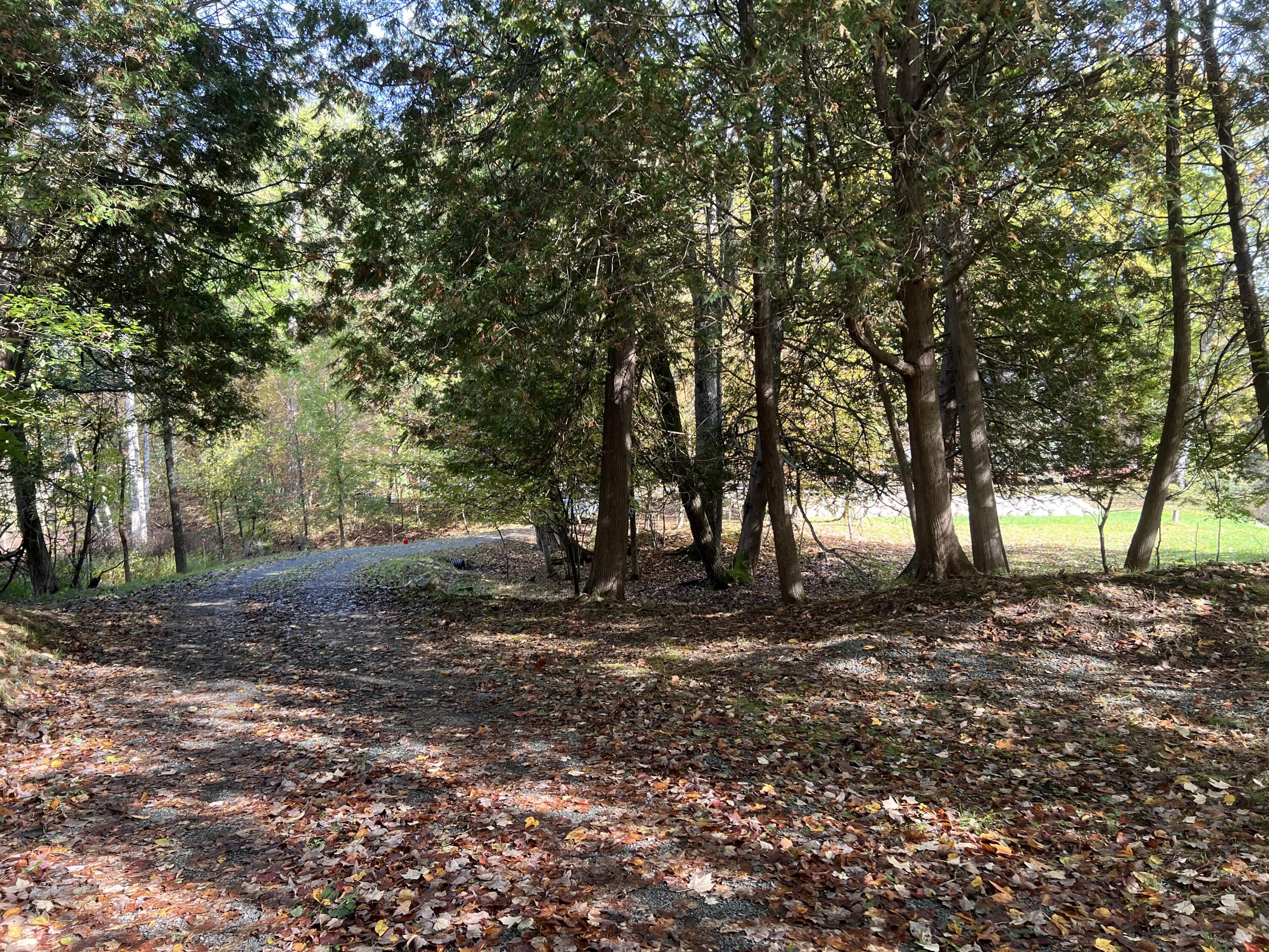 5597 South Rapids Road Branch, MI 49402 - Photo 21 of 60 IMG-1033
