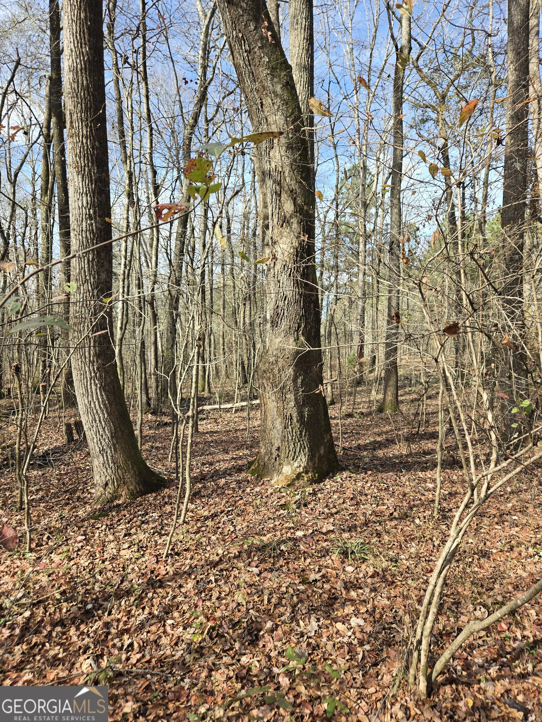 -yatesville R Yatesville Road Barnesville, GA 30204 - Photo 5 of 11