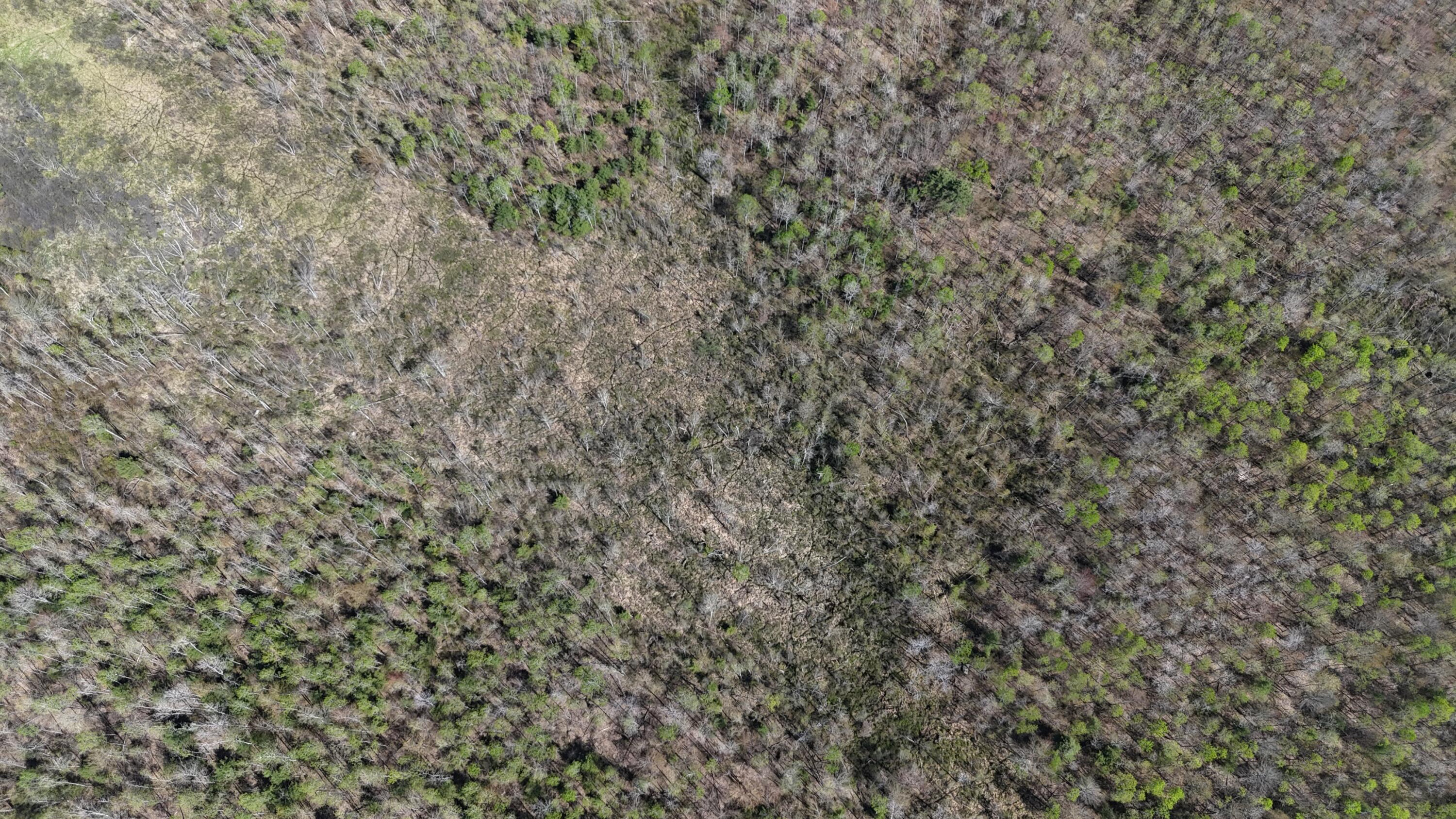 -proctor Proctor Road Arundel, ME 04046 - Photo 2 of 5 dji_fly_20260516_151020_0074_17790240738