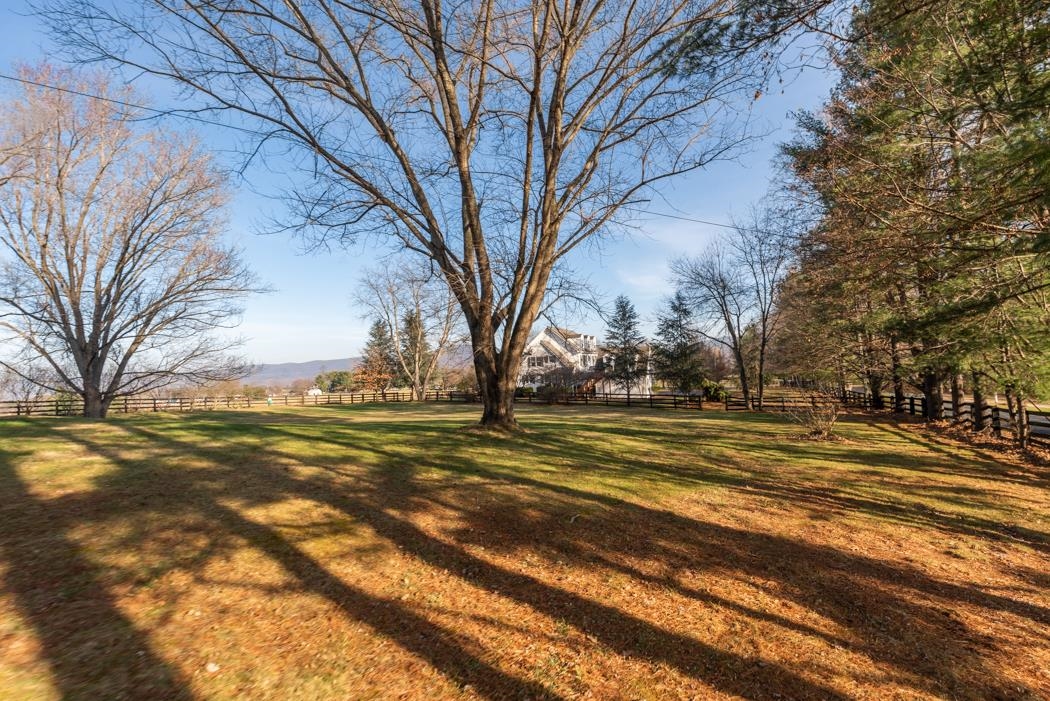 198 Baynes Road Waynesboro, VA 22980 - Photo 12 of 74 a view of a yard with large trees
