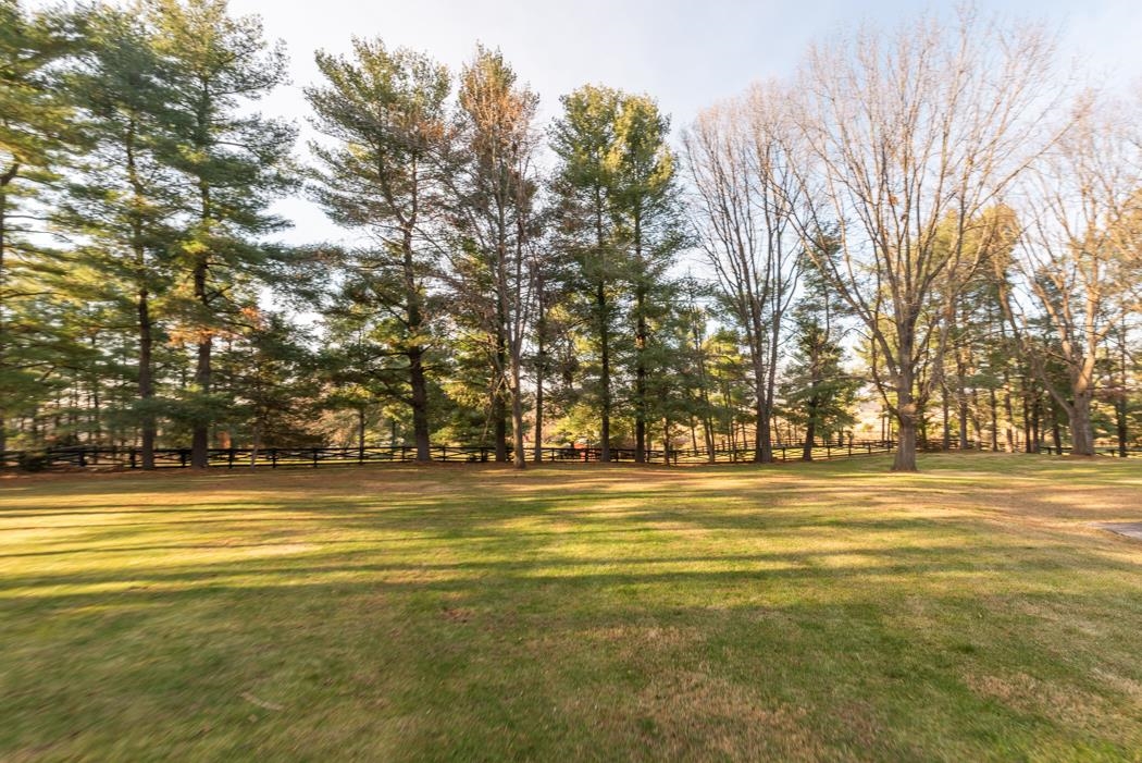 198 Baynes Road Waynesboro, VA 22980 - Photo 13 of 74