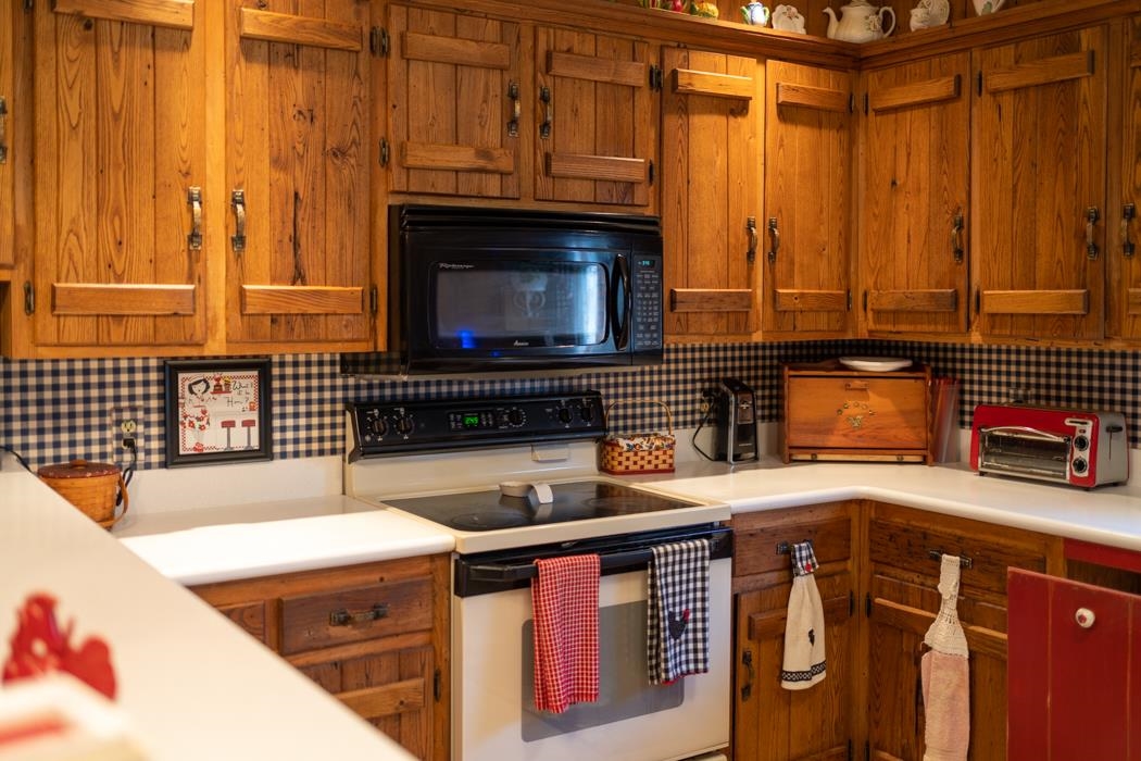 198 Baynes Road Waynesboro, VA 22980 - Photo 20 of 74 a kitchen with stainless steel appliances a stove and a microwave