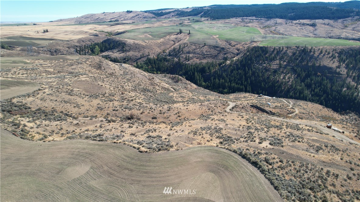 0 Deer Creek Road Waterville, WA 98858 - Photo 24 of 32 Gallery Image 24