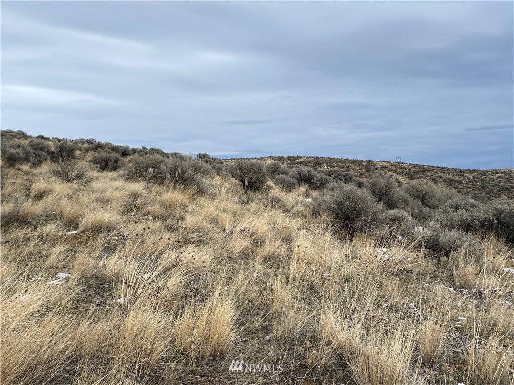 0 Deer Creek Road Waterville, WA 98858 - Photo 5 of 32 Gallery Image 5