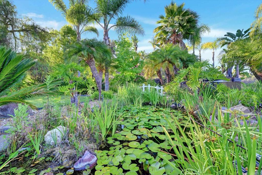 3522 Lancewood Way Fallbrook, CA 92028 - Photo 58 of 75