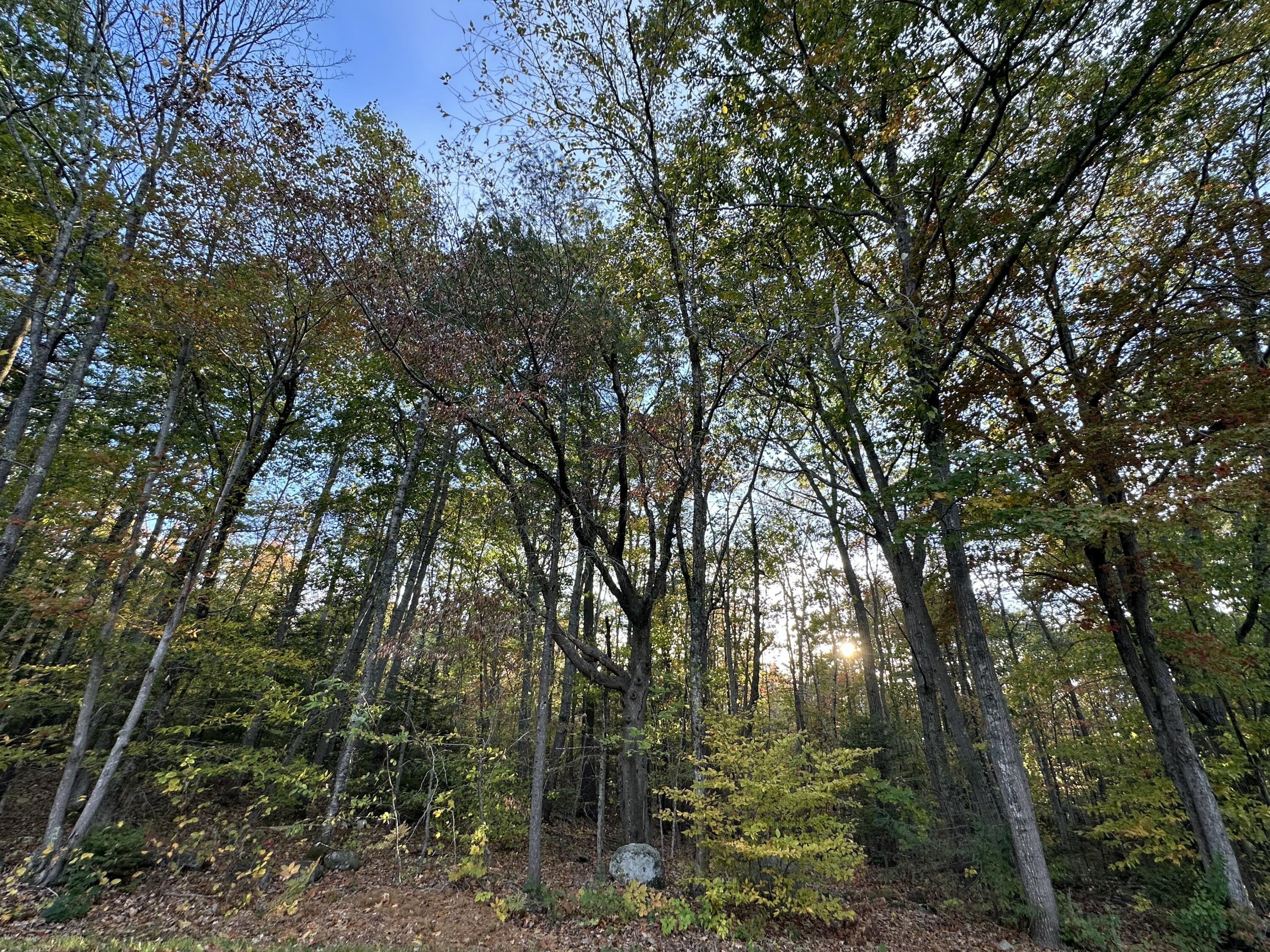 4 South Street Freeport, ME 04032 - Photo 7 of 11 223E5EFC-0C9E-4783-AC1F-6850266CDF65