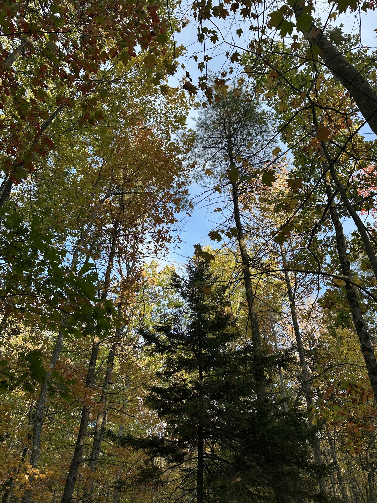 4 South Street Freeport, ME 04032 - Photo 8 of 11 4BF37EE8-5380-4165-9EAC-B1CFAC4F95CD