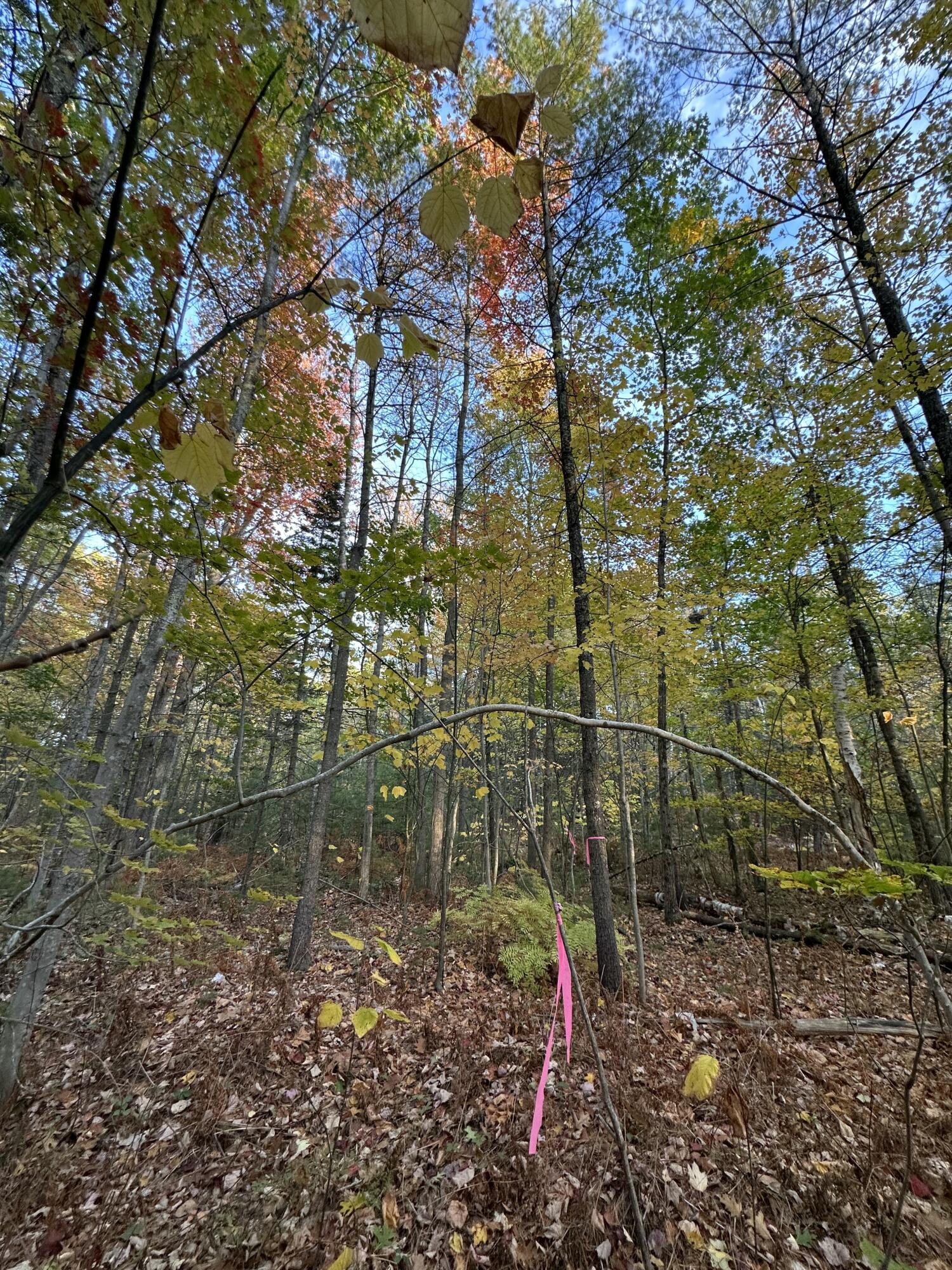 4 South Street Freeport, ME 04032 - Photo 9 of 11 812C8BFE-C079-4818-921F-236B365B3FBA