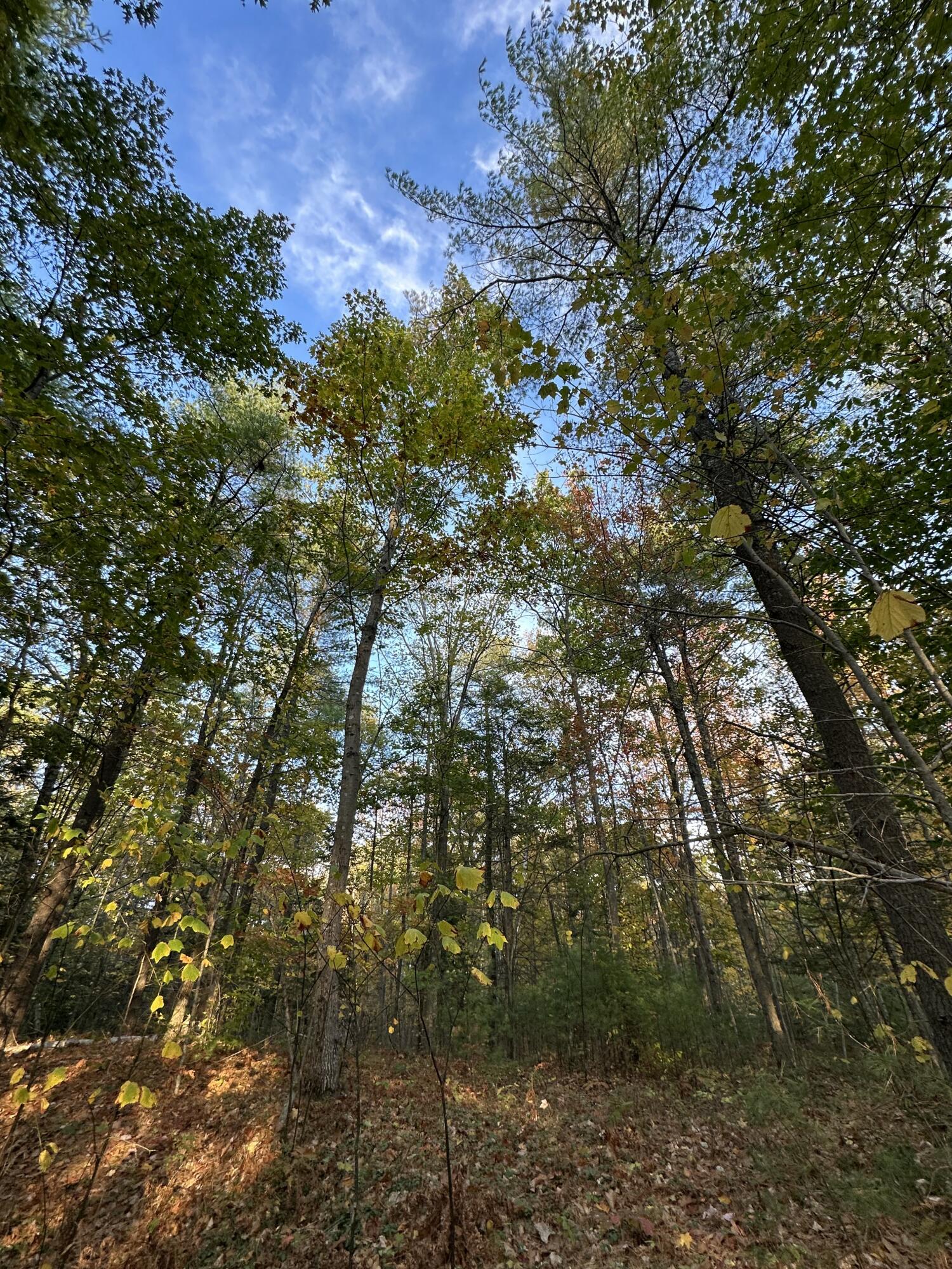 4 South Street Freeport, ME 04032 - Photo 10 of 11 66CB5F6C-5143-4D19-9951-9360D3038D40