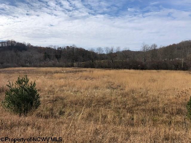 Tbd Gilman Road Elkins, WV 26241 - Photo 15 of 16 Gallery Image 15