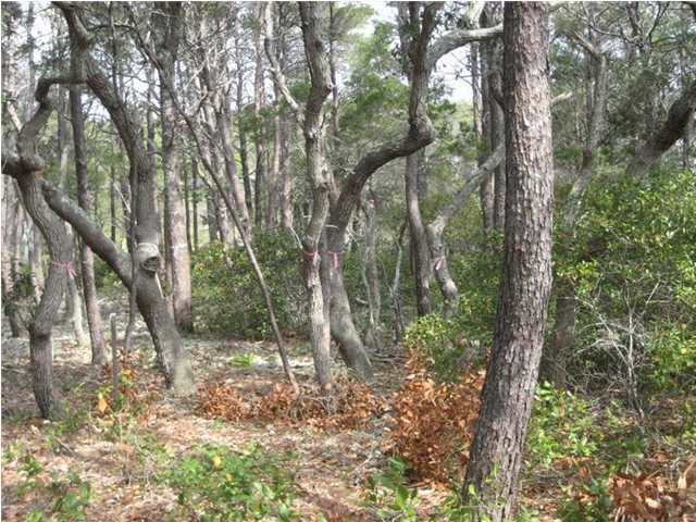 Lot 5 Azalea Street Santa Rosa Beach, FL 32459 - Photo 1 of 1 Primary Photo