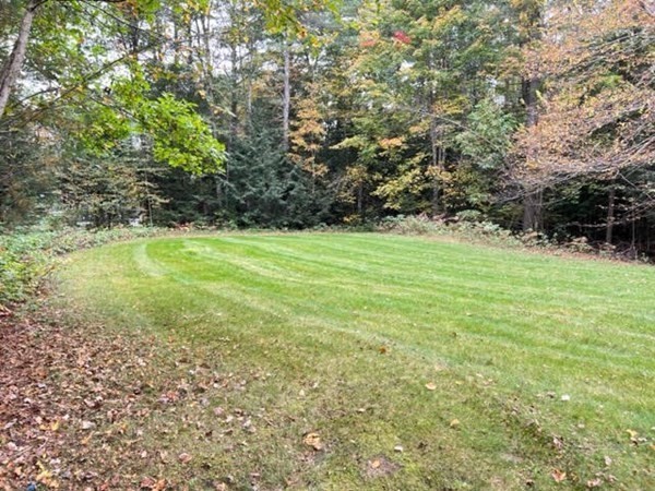 34 Sherbert Road Ashburnham, MA 01430 - Photo 17 of 20 a backyard of a house with lots of green space