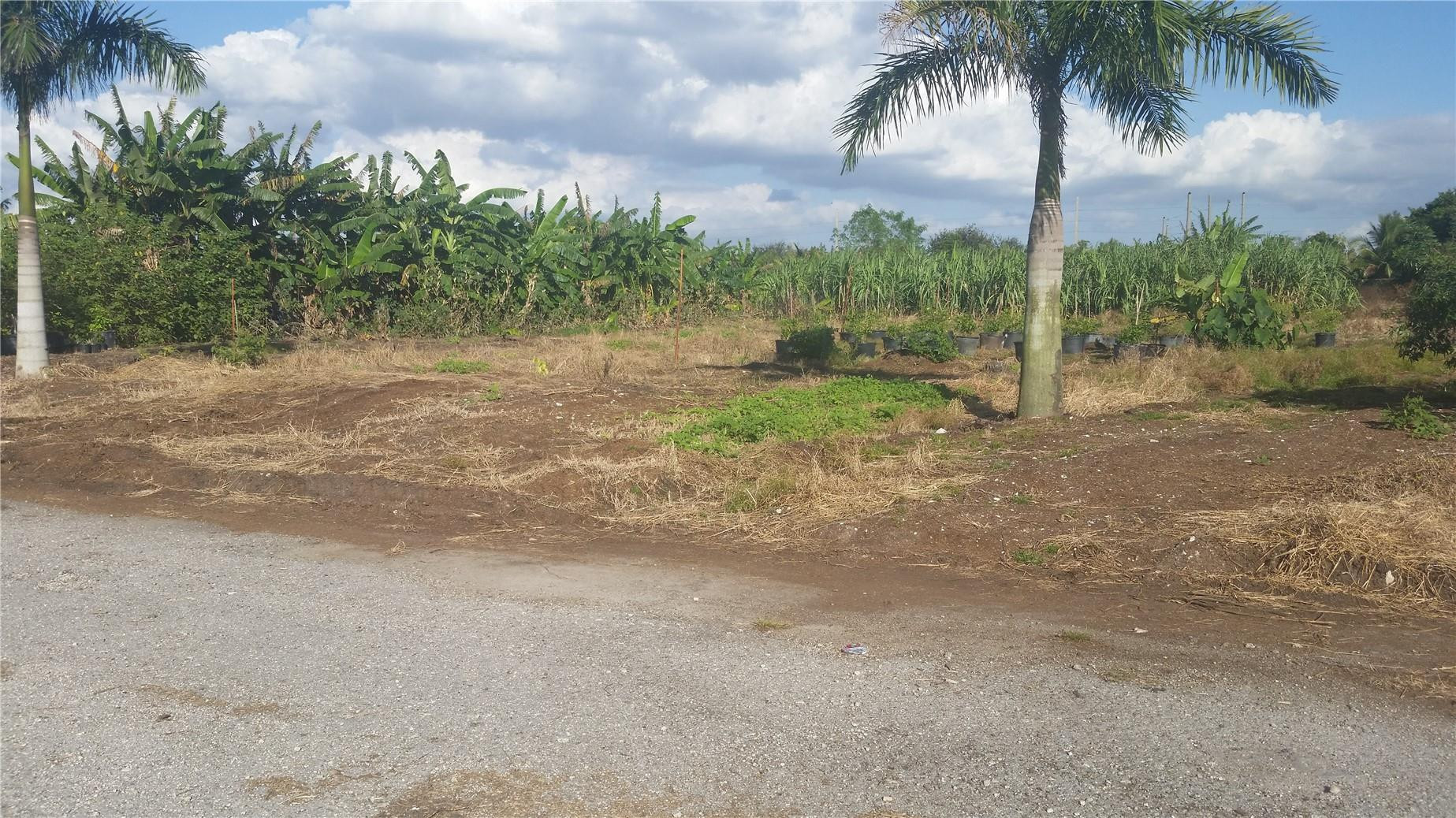 0 Southwest 192nd Terrace Southwest Ranches, FL 33332 - Photo 2 of 7 a view of a yard with palm trees