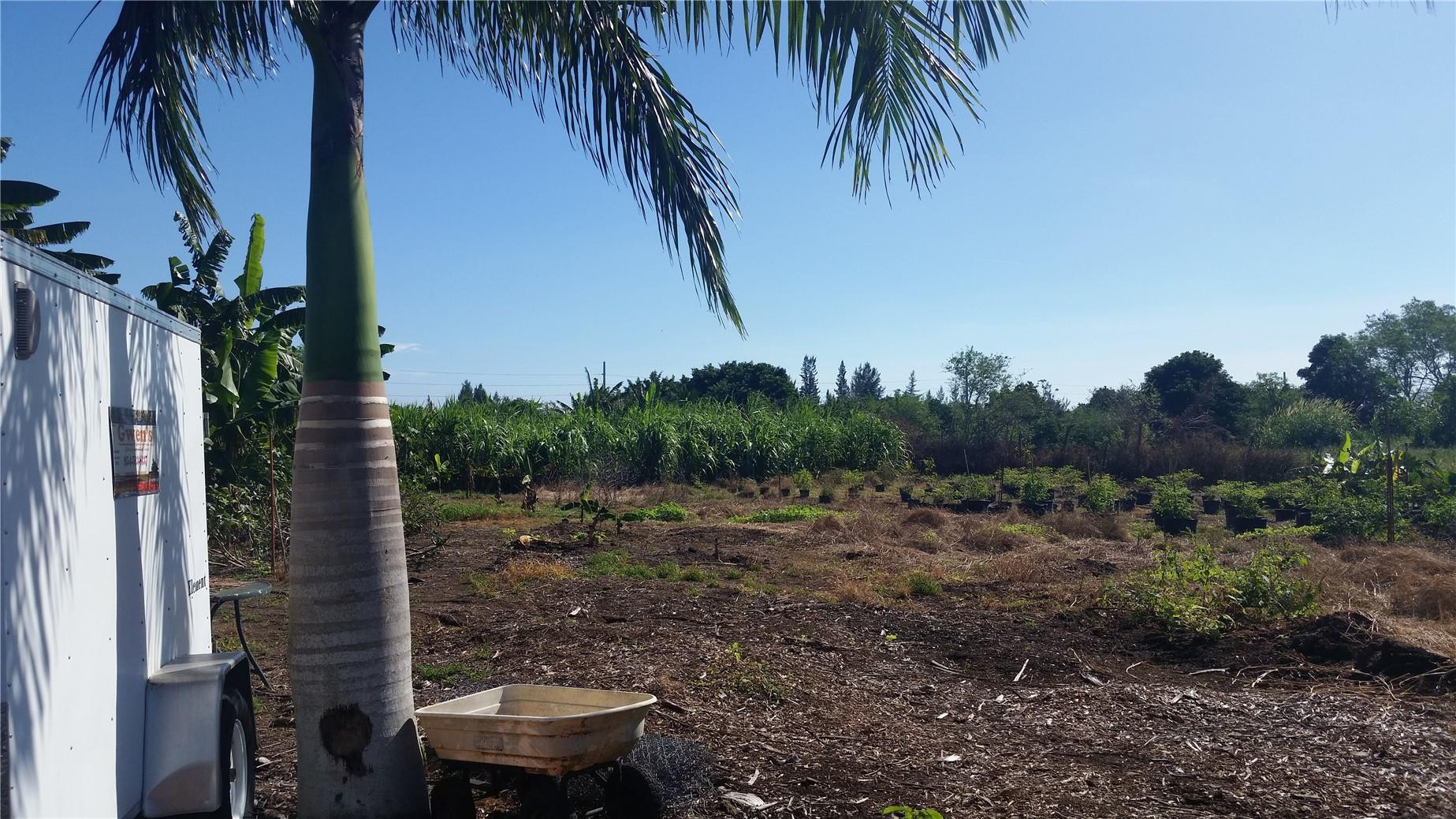 0 Southwest 192nd Terrace Southwest Ranches, FL 33332 - Photo 6 of 7 a view of a yard with plants