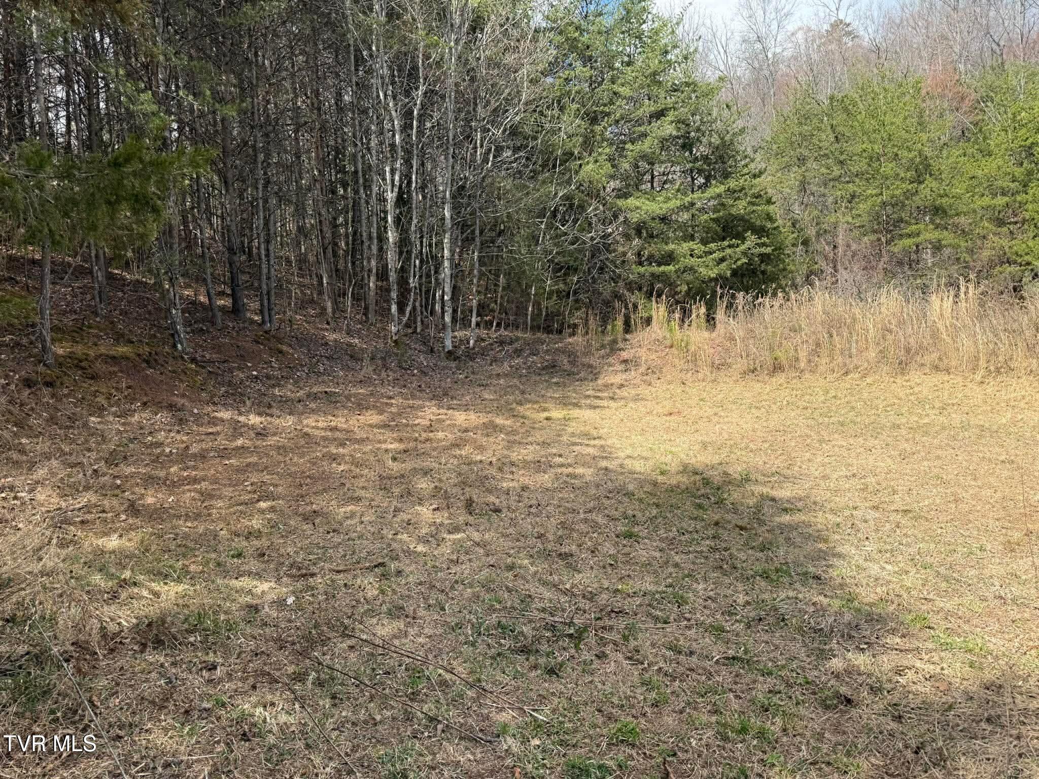 0 Dyer Hollow Road, Unit 3 Mohawk, TN 37810 - Photo 2 of 11 3dd0e895d6bb4e055aa11b47295f11a9