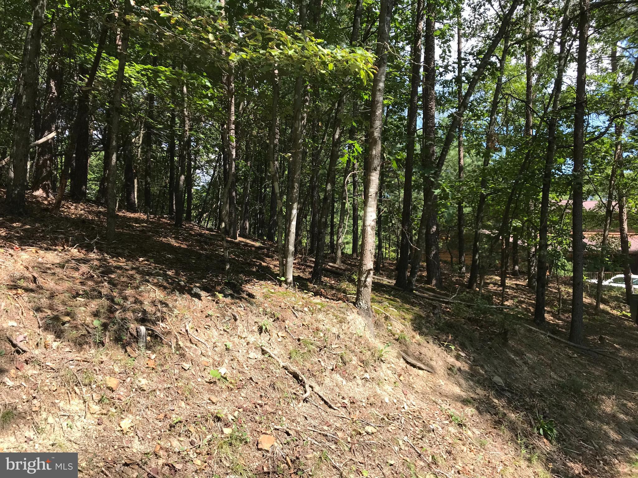 0 Demaret Road Basye, VA 22810 - Photo 1 of 3