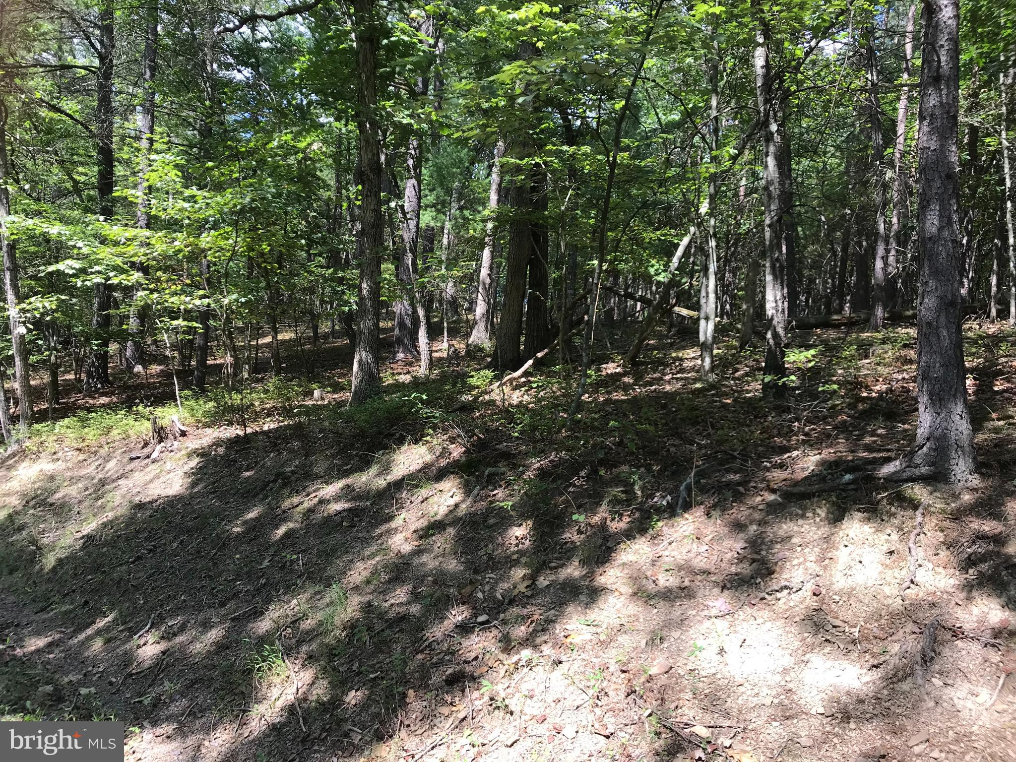 0 Demaret Road Basye, VA 22810 - Photo 2 of 3