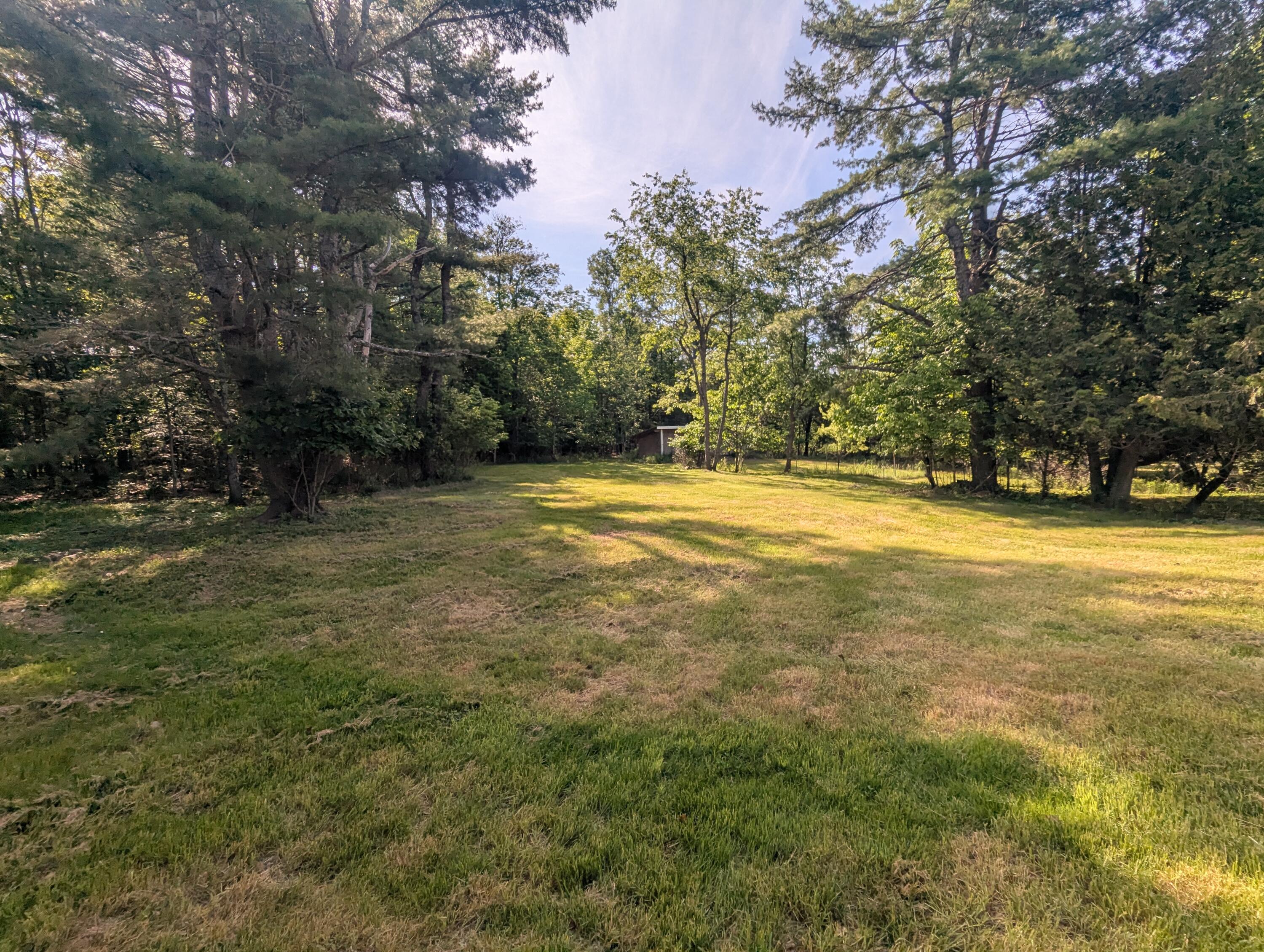 537 Millvale Road Bucksport, ME 04416 - Photo 55 of 58 Backyard