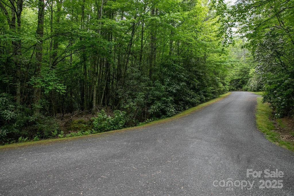 306 Old Spring Road, Unit 306 Brevard, NC 28712 - Photo 12 of 23 a view of a backyard of the house