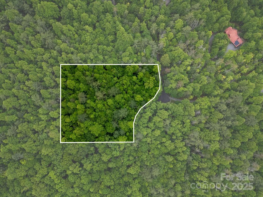 306 Old Spring Road, Unit 306 Brevard, NC 28712 - Photo 16 of 23 a view of a backyard