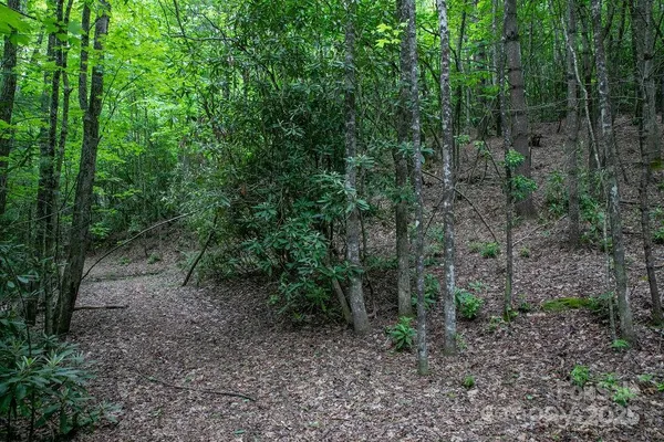 a view of backyard with green space